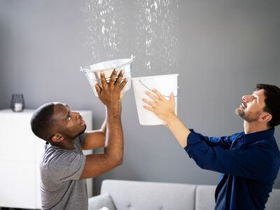 About Philadelphia PA Mold Remediation Pros - mold remediation experts in Philadelphia